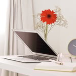 laptop flower glasses notebook
