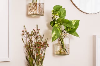 moccona jar inspiration mounted vases teaser